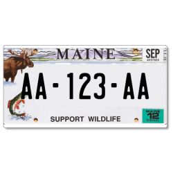 Plaque US PLEXIGLAS® 300x150mm - Maine